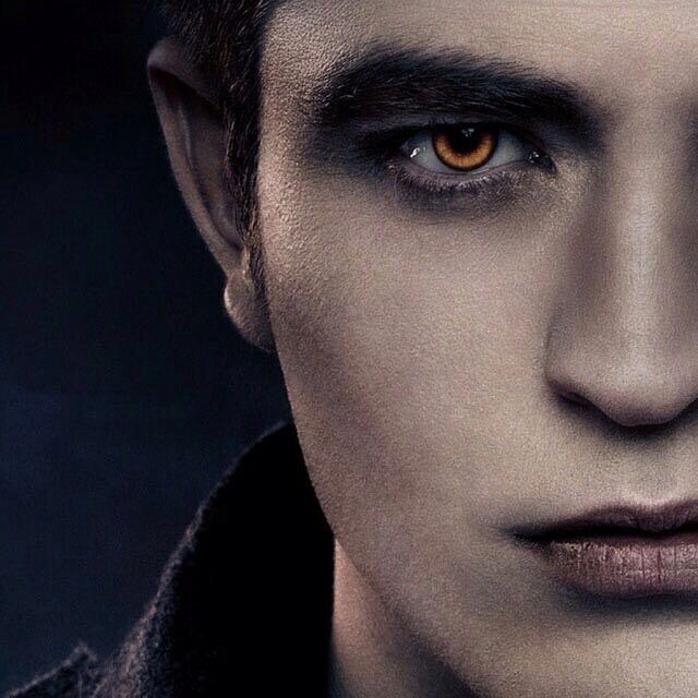 ���� 23568354 ������� ����, 31 ���, ���� ���������� � ����������