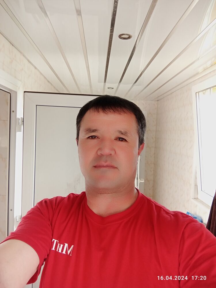  43413154  , 44 ,    