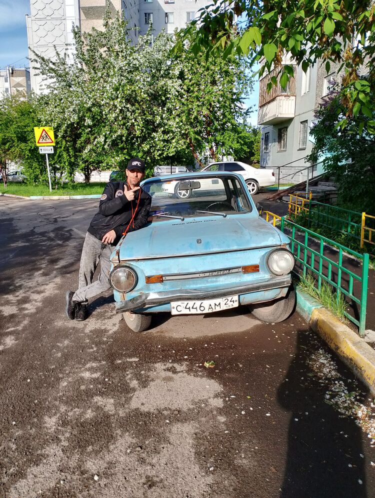 ���� 44208374 ������� �����, 42 ����, ���� ���������� � �����������