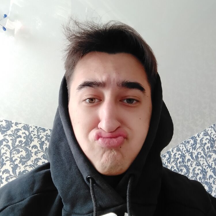 ���� 27196624 ����� ������, 24 ����, ���� ���������� � �����