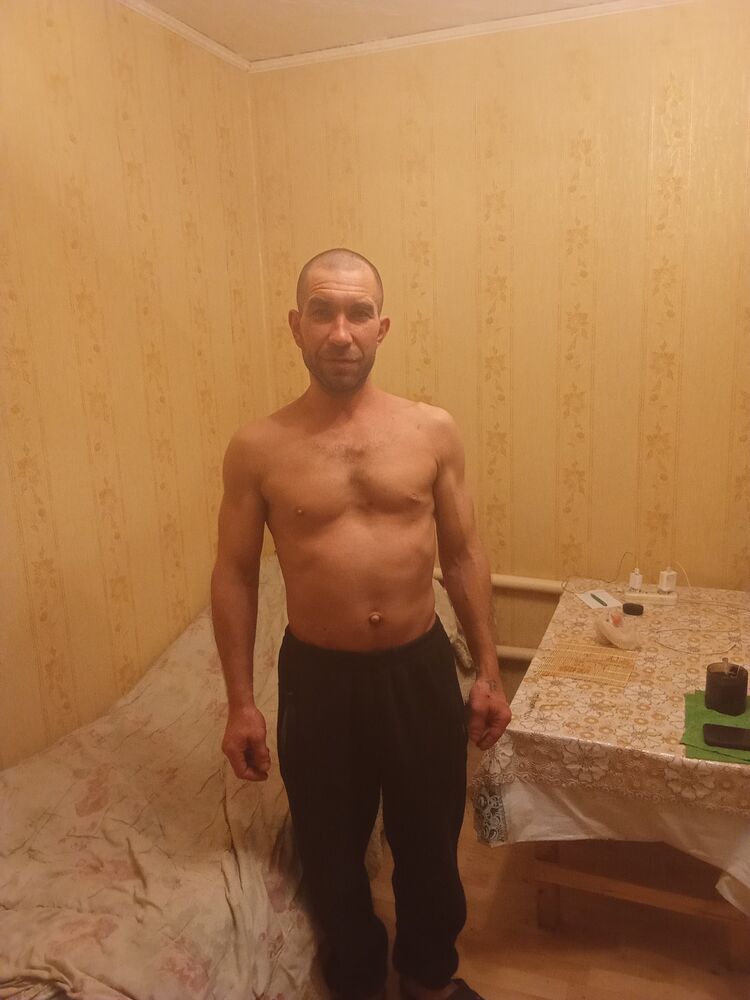  41148104  , 43 ,    