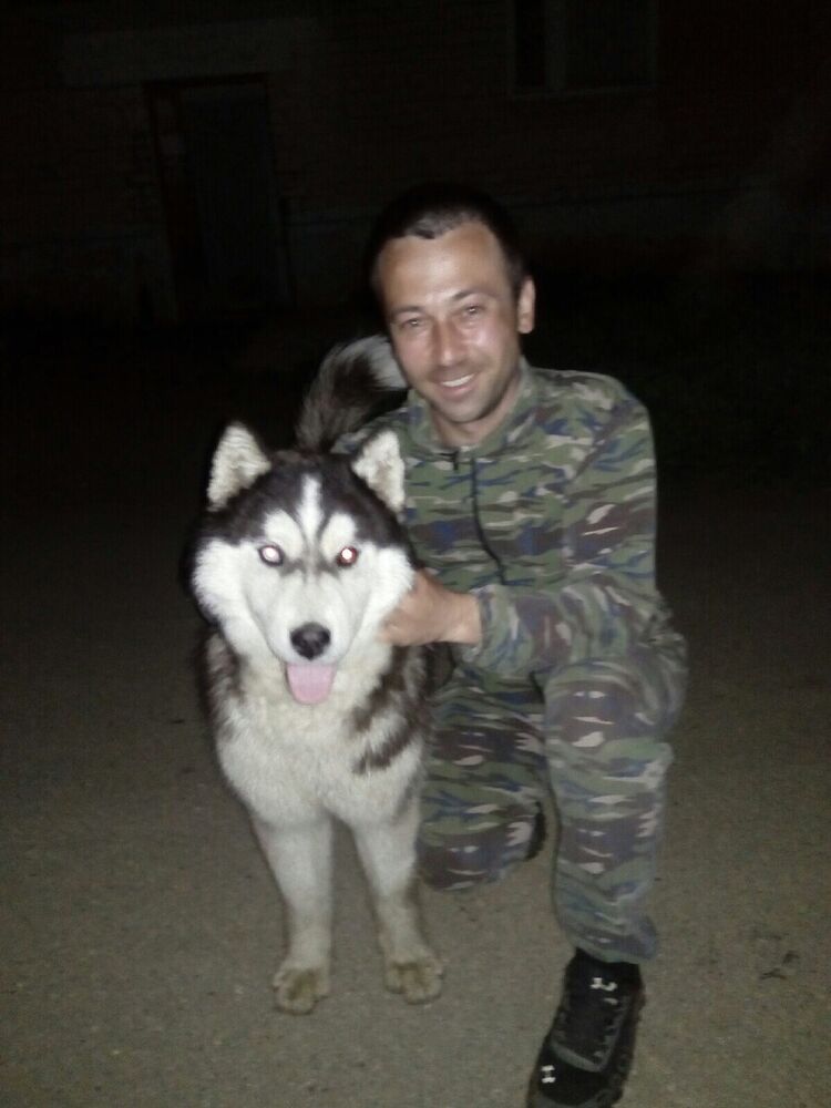 ���� 20698484 ������� ���������, 38 ���, ���� ���������� � ���������