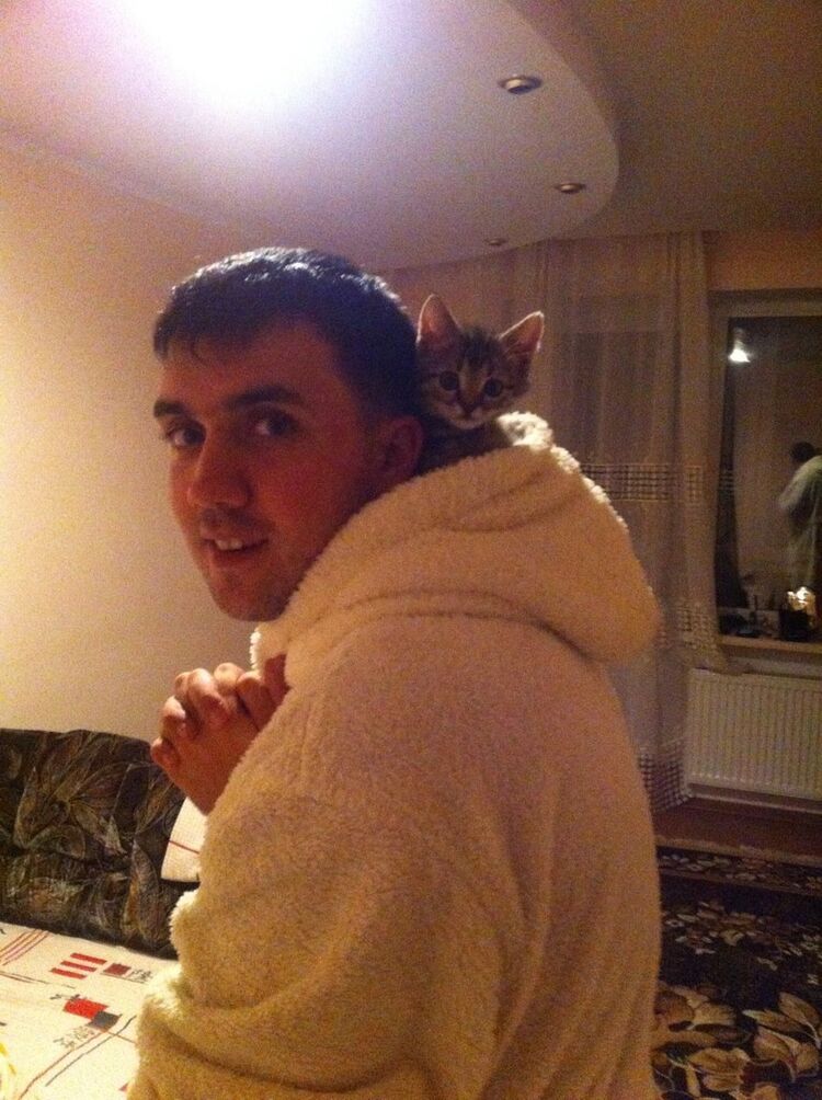 ���� 15476974 ������� ����, 28 ���, ���� ���������� � ������