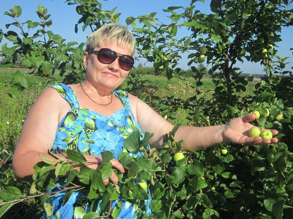 ���������� �������, ���� ������� �������, 71 ���, ������������ ��� ���������