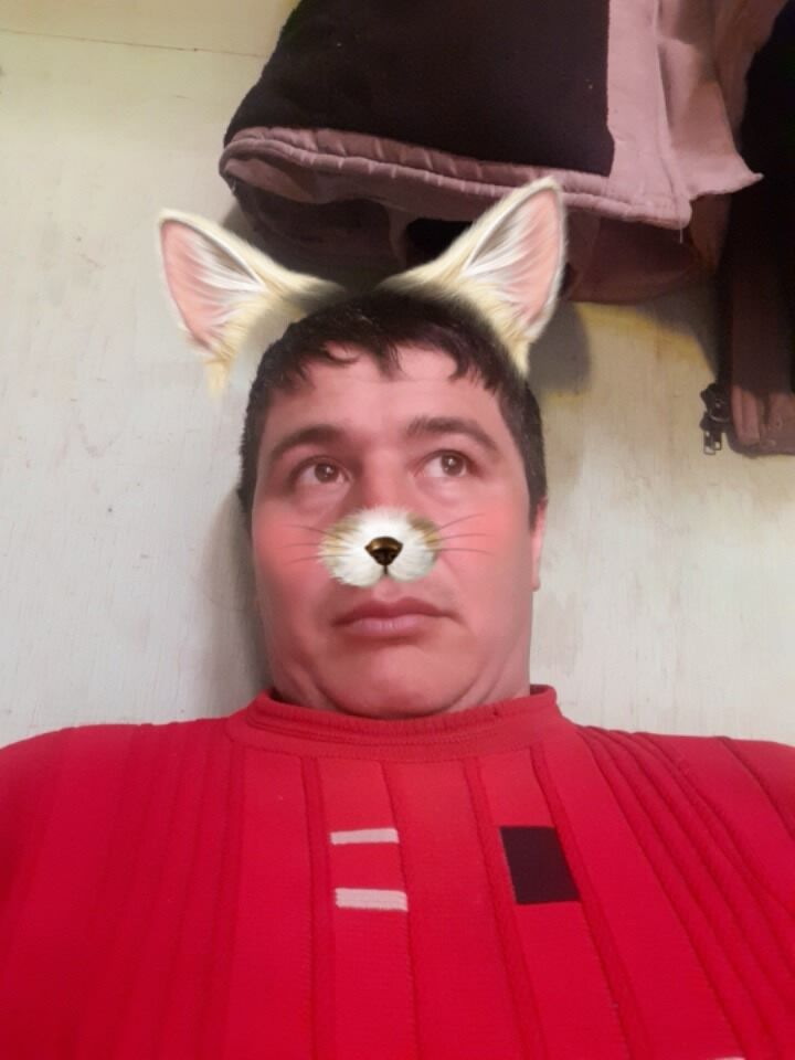 ���� 28561544 ������� ������, 38 ���, ���� ���������� � ������