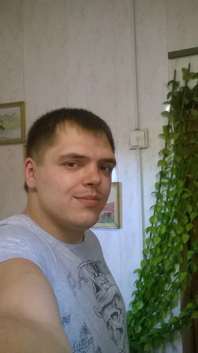  7333504  , 31 ,    