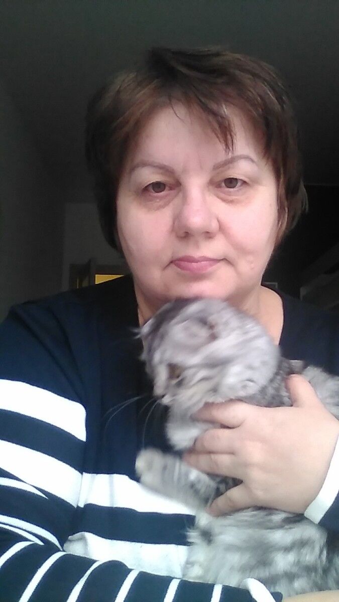  -,   , 62 ,     , c 