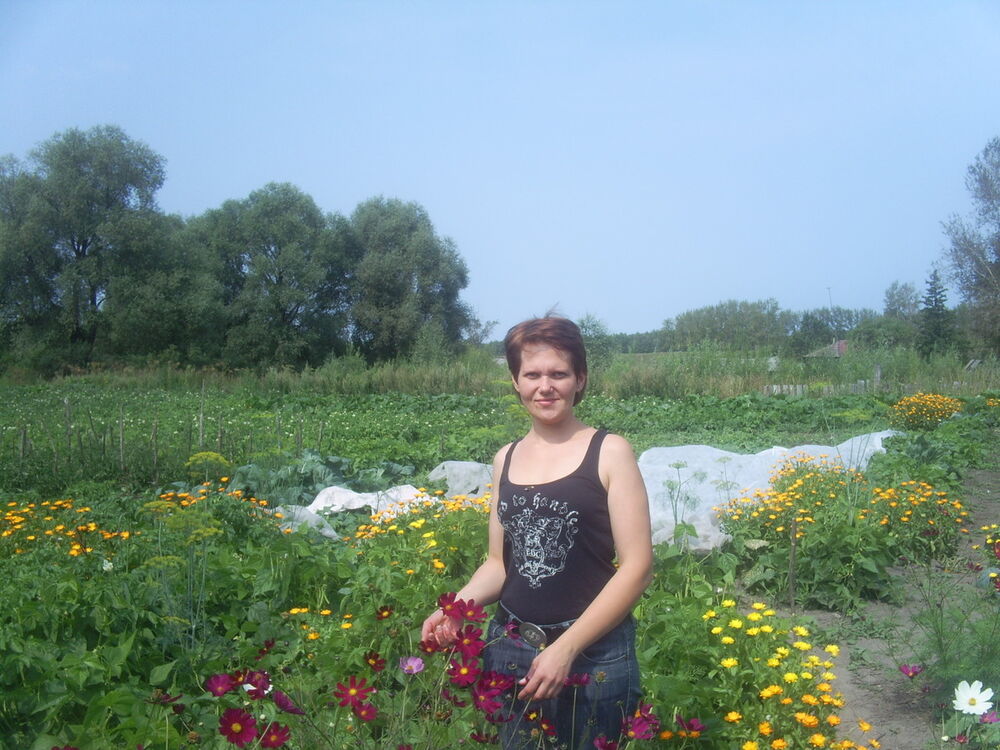 ���������� ������, ���� ������� ����, 44 ����, ������������ ��� ������, ����� � ���������, c�������� ���������