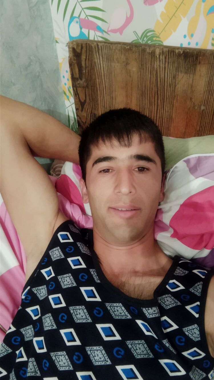  27602554  , 31 ,    