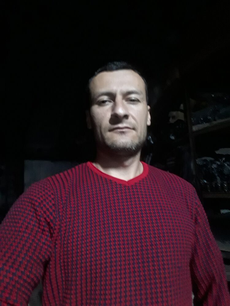  33919934  , 33 ,    