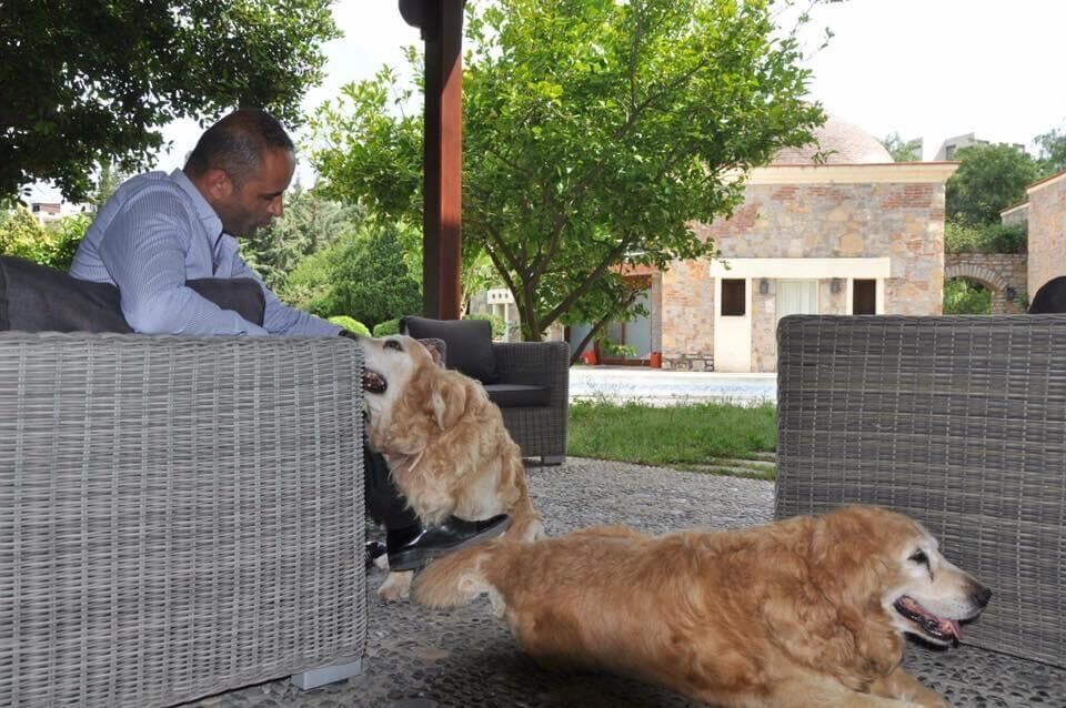  33428474  Dursun, 42 ,    Bodrum