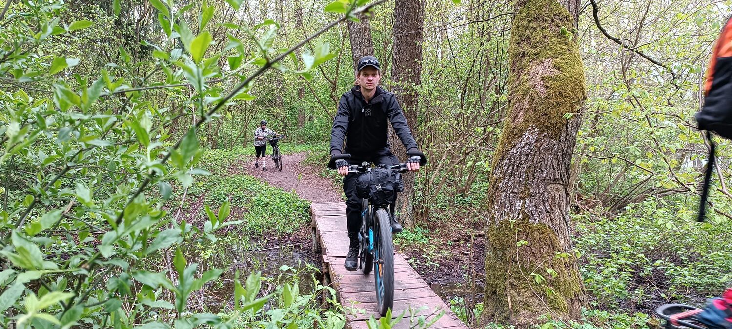 ���� 38443734 ������� ����, 36 ���, ���� ���������� � ������