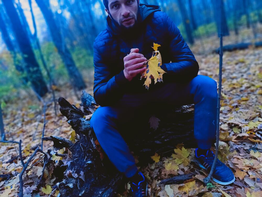  34019544  , 27 ,    --