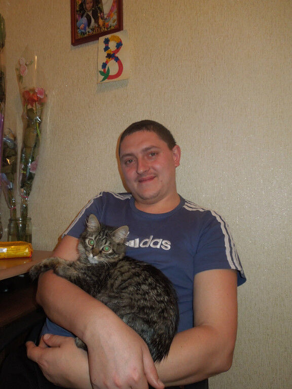  ,   , 41 ,   