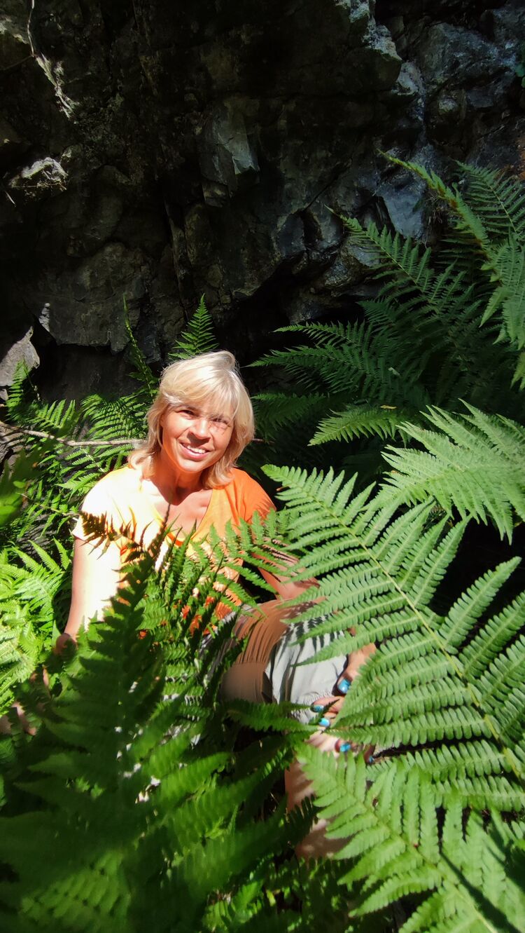 ���� 53653204 ������� ���, 56 ���, ���� ���������� � ��������