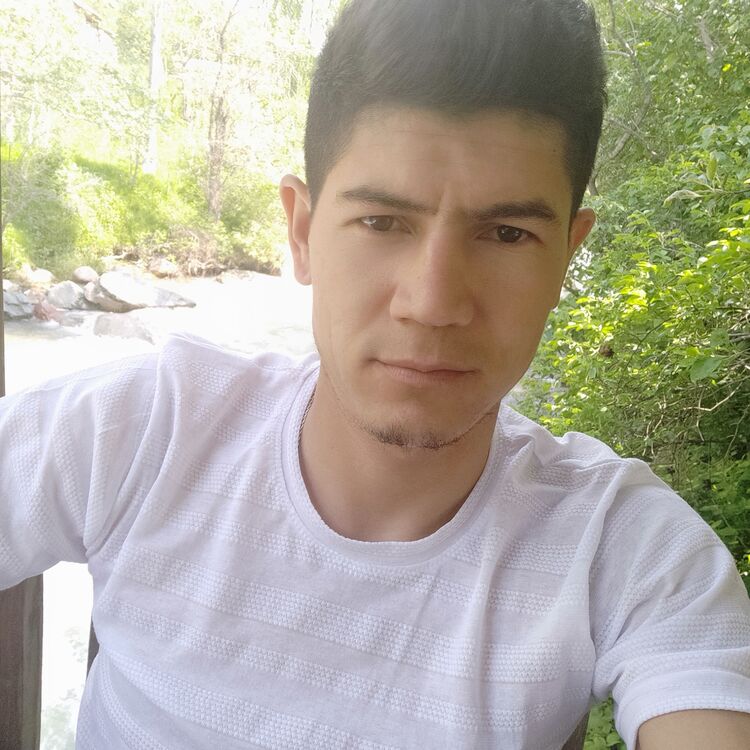 ���� 43731034 ������� ������, 30 ���, ���� ���������� � ��������