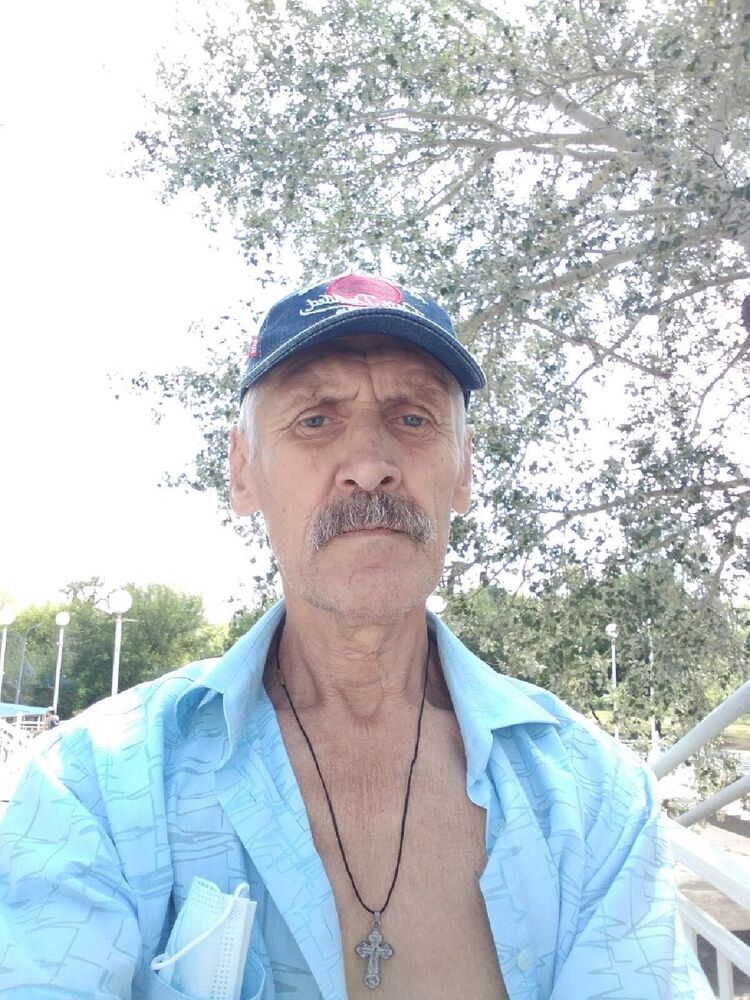  31354594  , 63 ,    