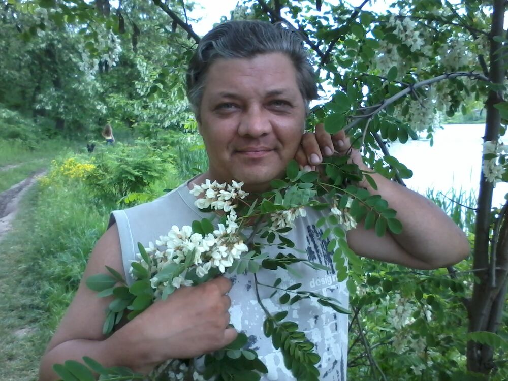 ���� 56019864 ������� �������, 47 ���, ���� ���������� � ��������