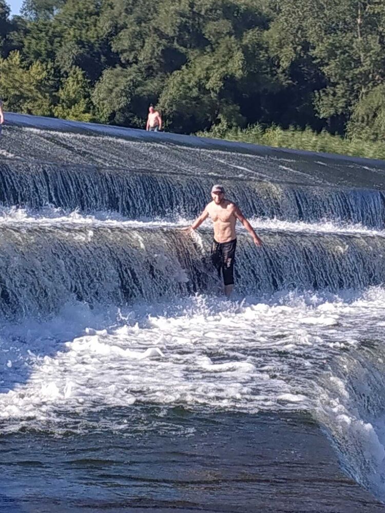  31077364  , 38 ,    -