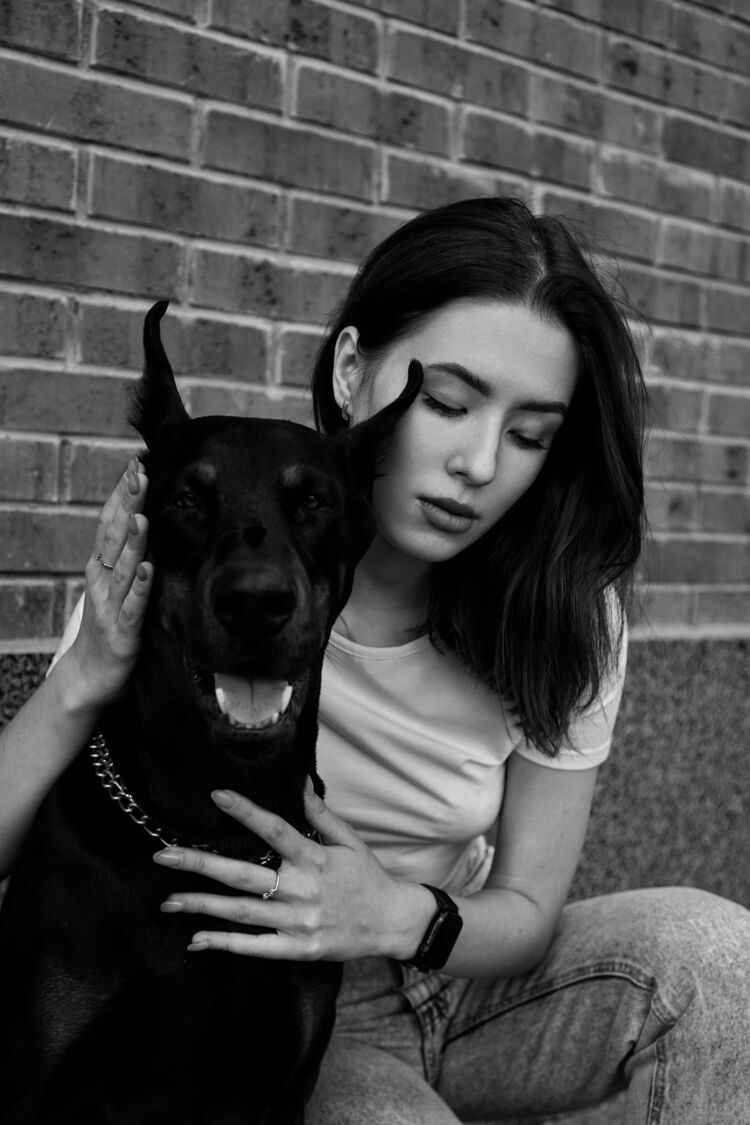 ���� 36856684 ������� �����, 21 ���, ���� ���������� � ������������