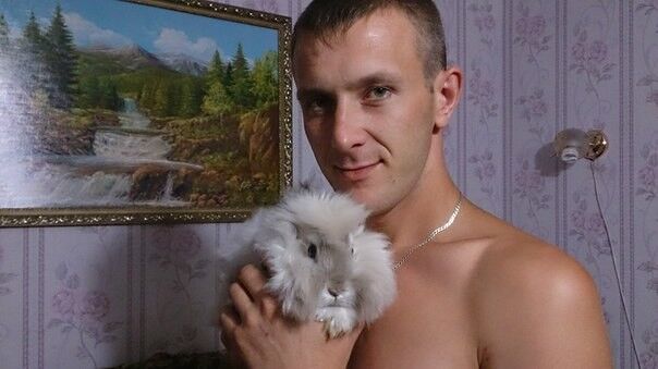 ���� 6199404 ������� �����, 36 ���, ���� ���������� � ������