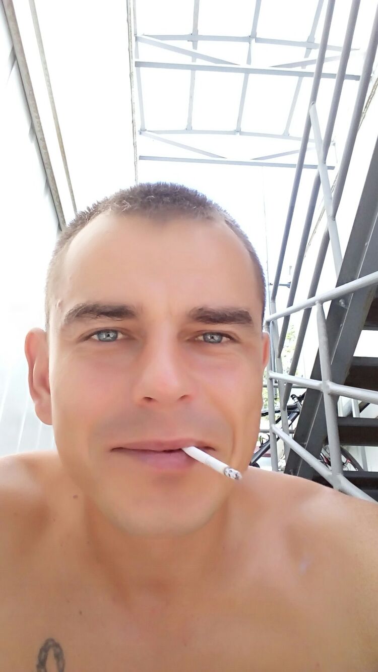  29398064  , 31 ,    