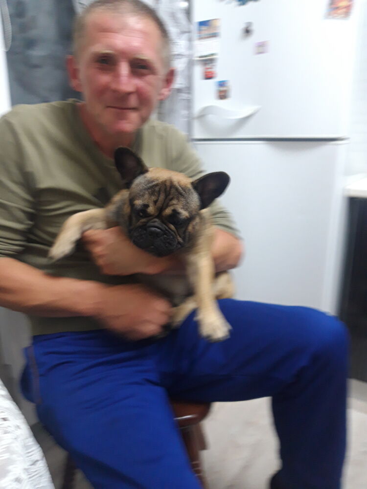 ���� 26539634 ������� ����, 48 ���, ���� ���������� � ��������