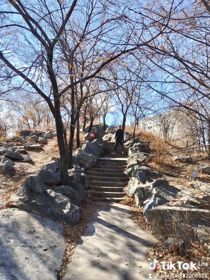 ���� 55543154 ������� �������, 37 ���, ���� ���������� � �����