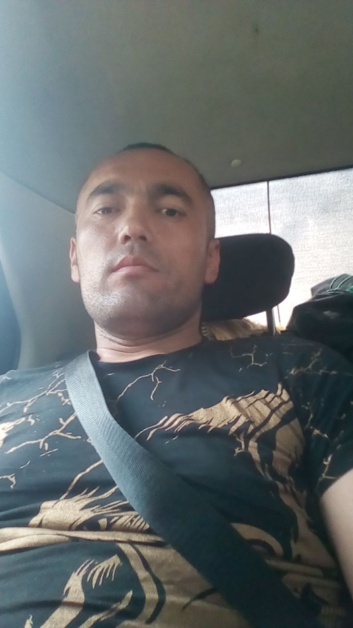 23114484  , 38 ,    