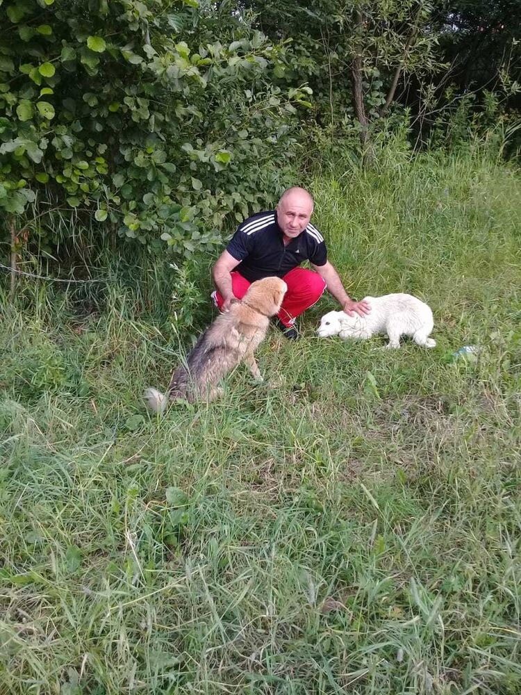 ���������� ���������, ���� ������� ��, 48 ���, ������������ ��� ������, ����� � ���������, c�������� ���������