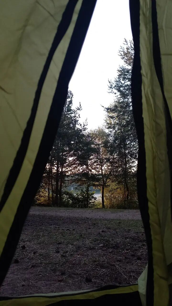 ���� 28605284 ������� �����, 27 ���, ���� ���������� � ������