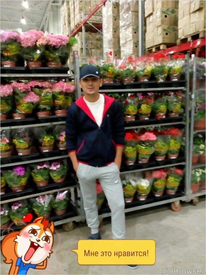 ���� 10733224 ������� ��������, 34 ����, ���� ���������� � �������