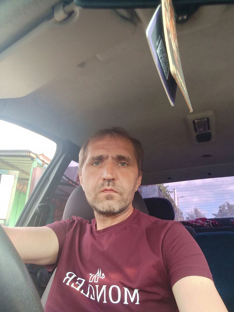  53164074  , 43 ,    