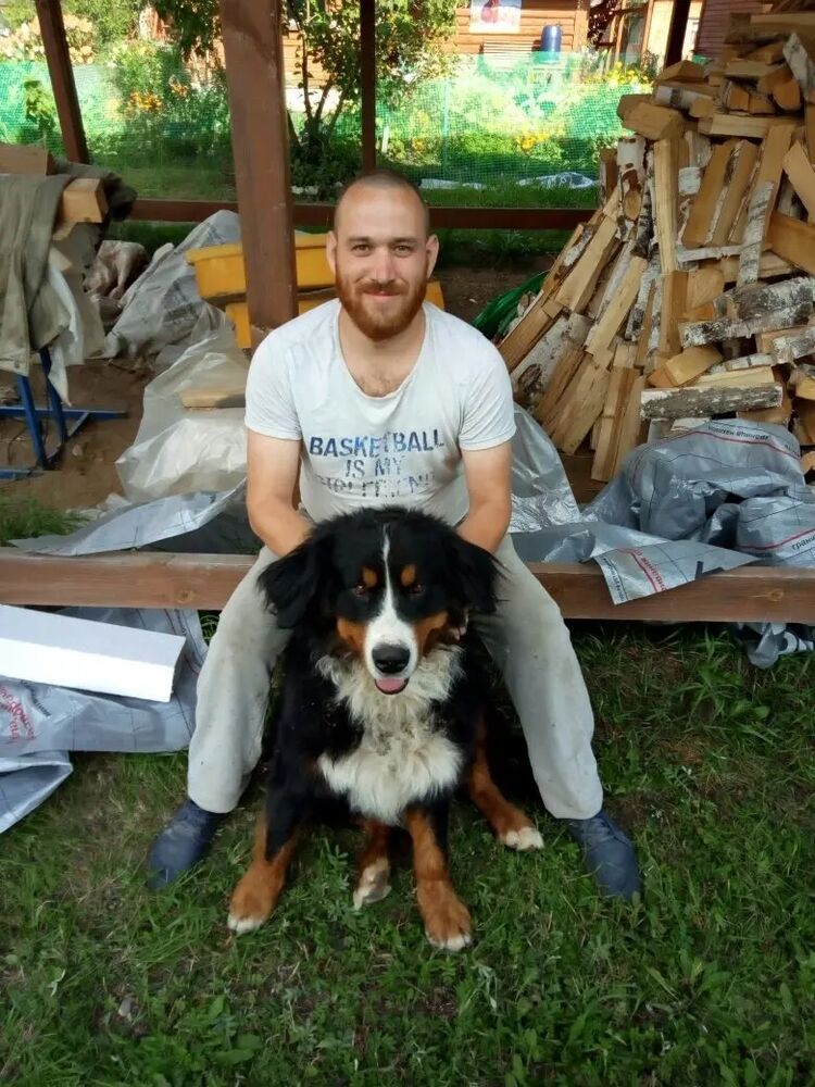  31355484  Vitaly, 30 ,    