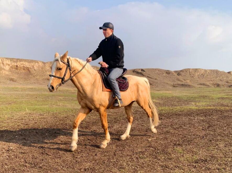 ���� 25146024 ����� ��������, 22 ����, ���� ���������� � �������