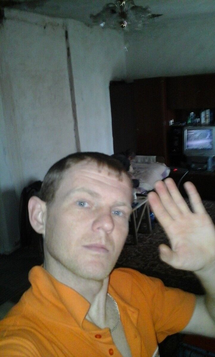 ���� 17336664 ������� ˸��, 38 ���, ���� ���������� � ��������