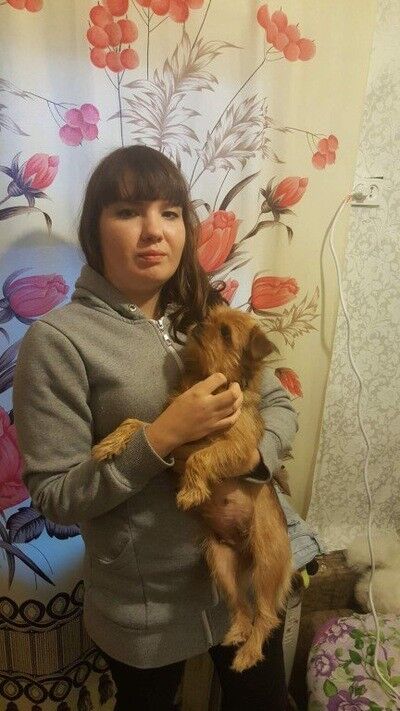 ���� 13733644 ������� �����, 33 ����, ���� ���������� � ��������