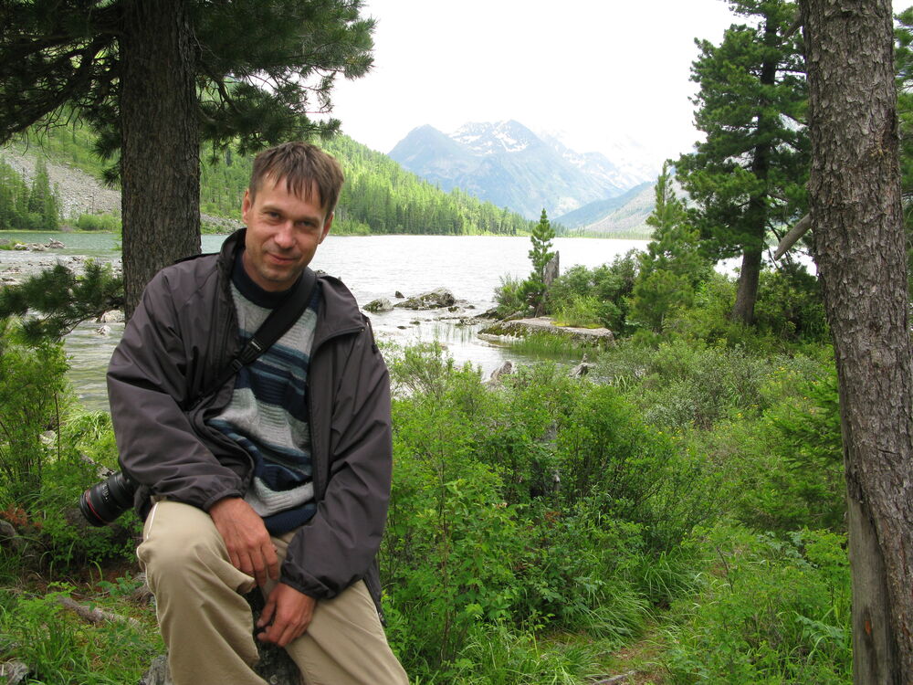 ���� 42008374 ������� �����, 46 ���, ���� ���������� � ������������