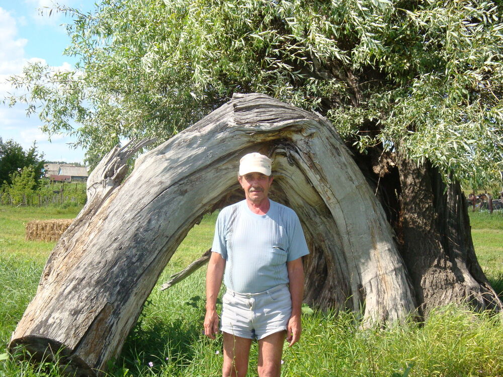  ,   , 71 ,   