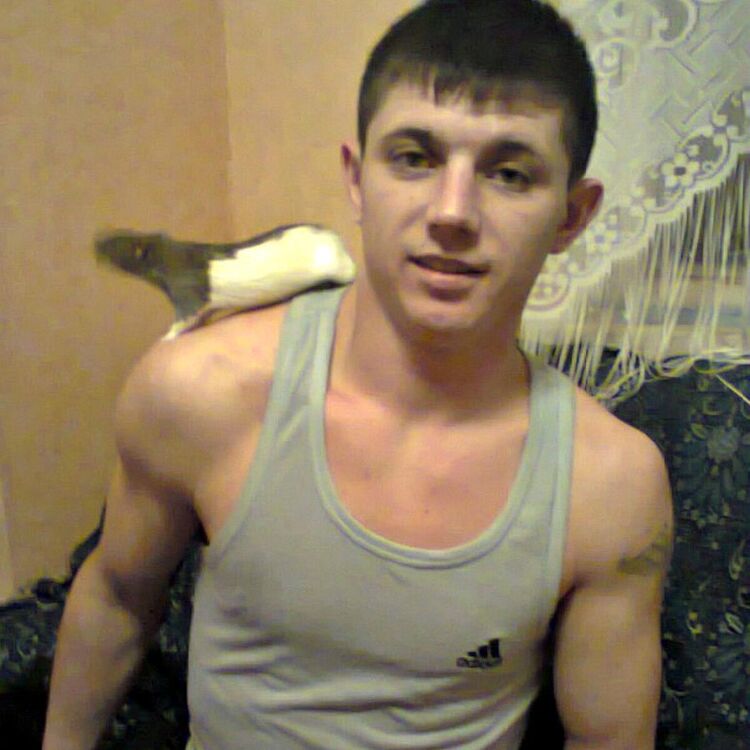  ,   , 36 ,   ,   , c 