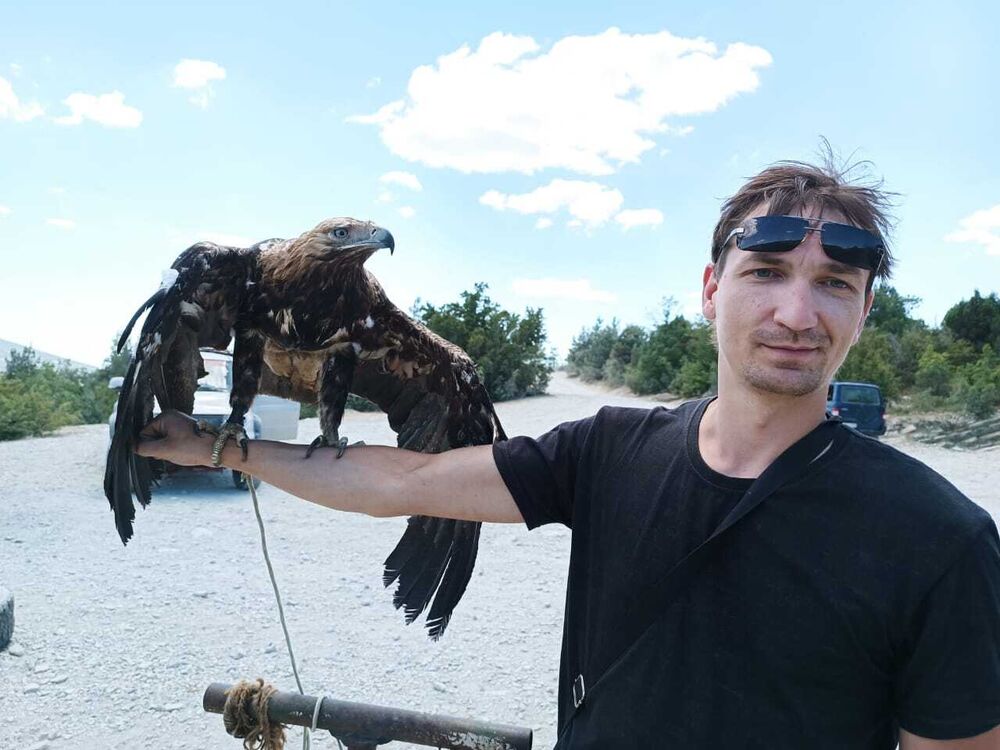 ���������� ��������, ���� ������� ���������, 37 ���, ������������ ��� ������, ����� � ���������, c�������� ���������