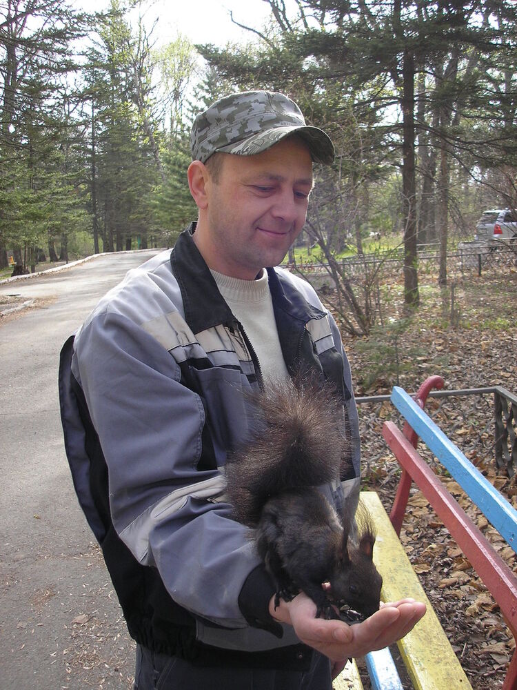 ���������� �����������, ���� ������� ������, 49 ���, ������������ ��� ������