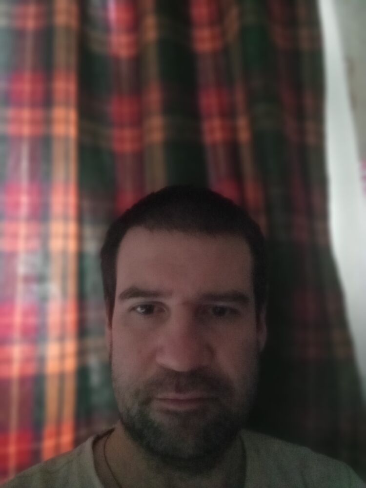  31154454  Dim, 42 ,     