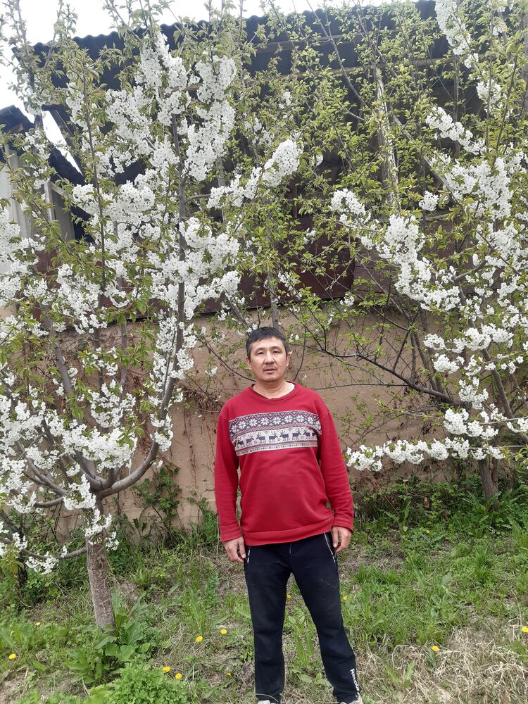 ���� 31111854 ������� ��������, 46 ���, ���� ���������� � �������