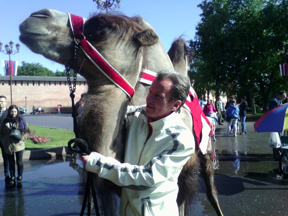 ���������� ������� ��������, ���� ������� ����, 45 ���, ������������ ��� ������, ����� � ���������, c�������� ���������