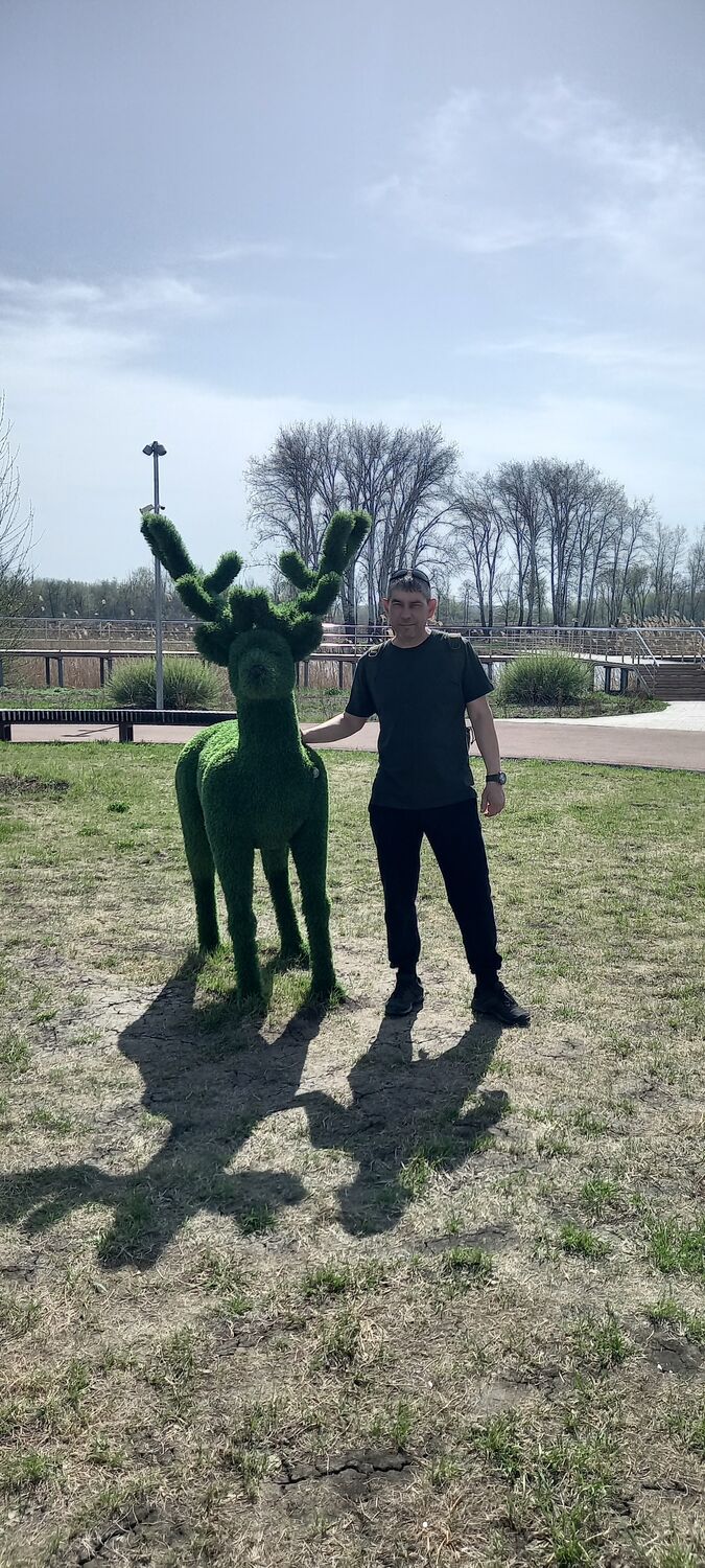 ���� 42432694 ������� �������, 40 ���, ���� ���������� � ���������