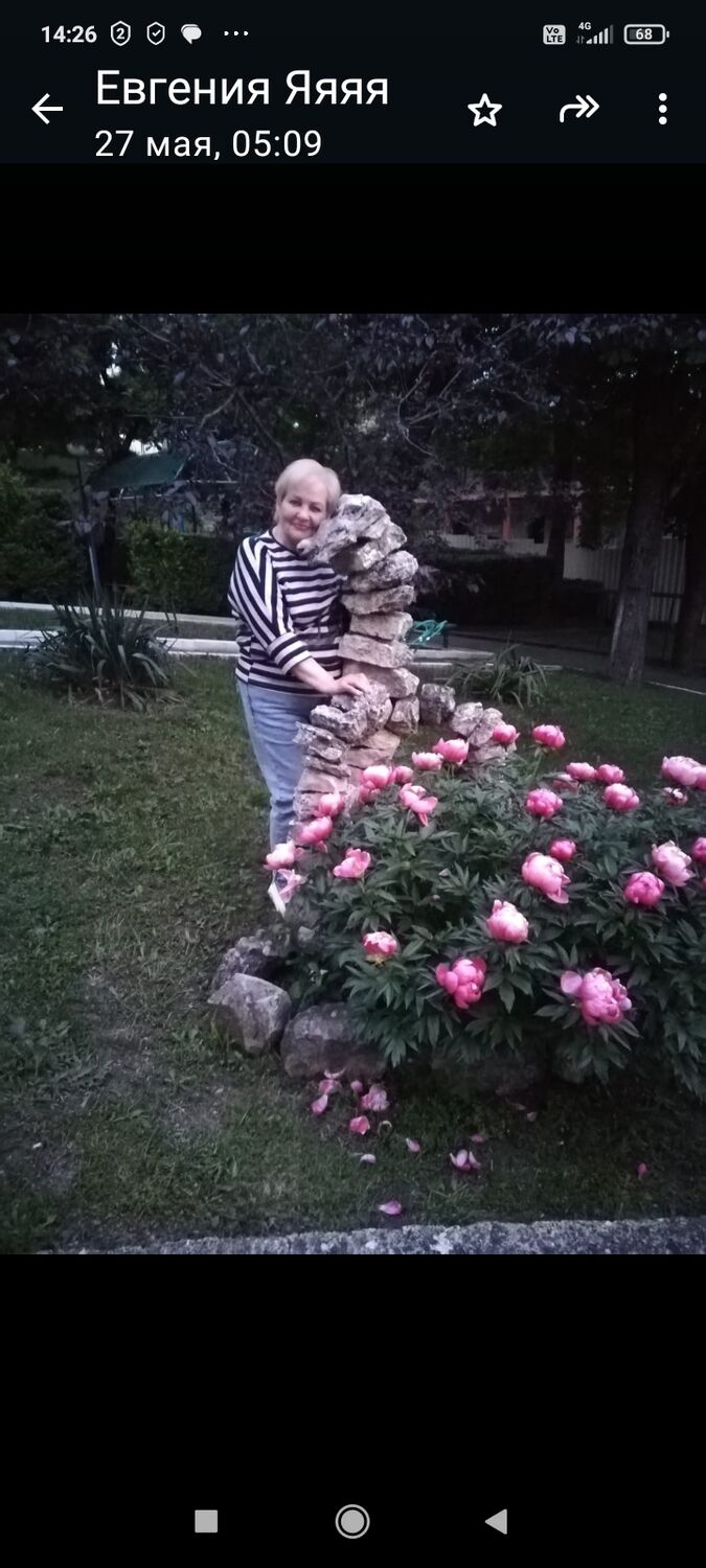 ���������� ��������, ���� ������� �������, 66 ���, ������������ ��� ������, ����� � ���������