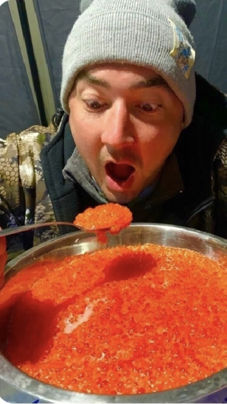 ���� 55586334 ������� �������, 43 ����, ���� ���������� � �����-����������