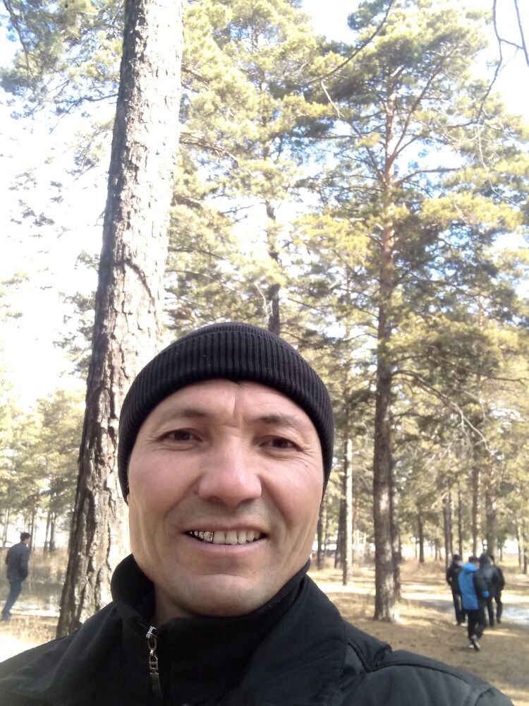  31818204  , 43 ,    -