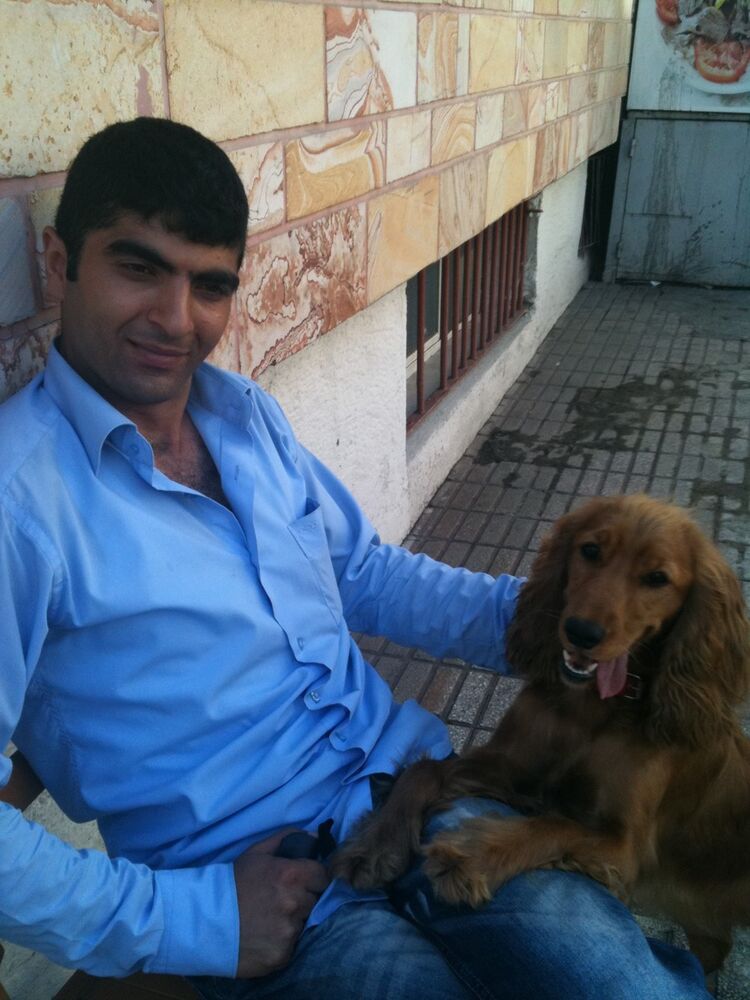 ���� 4223614 ������� ARTHUR, 37 ���, ���� ���������� � �������